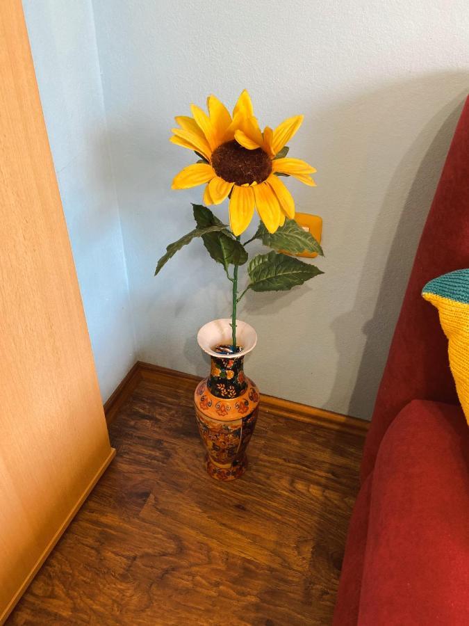 Apartment David Trsce 외부 사진